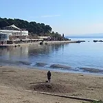 Zsa Zsa Zenta 1 斯普利特