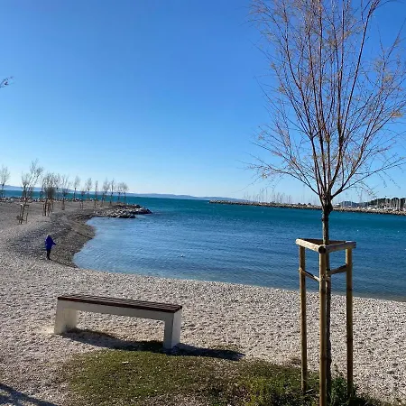 Zsa Zsa Zenta 1 Split