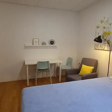 Zsa Zsa Zenta 1 Split