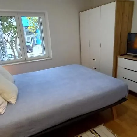 Apartment Zsa Zsa Zenta 1