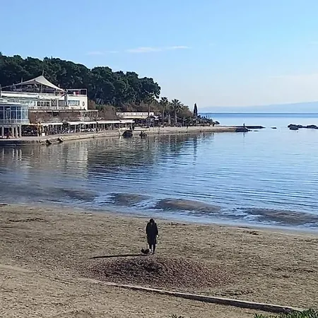 Zsa Zsa Zenta 1 Split